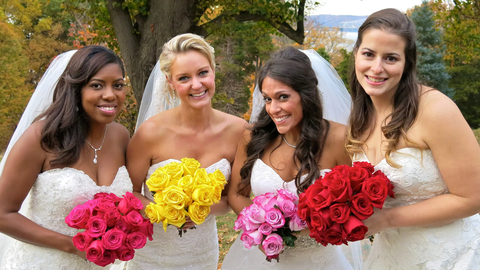 Card for Four (Hundred and Thirty-Two) Weddings